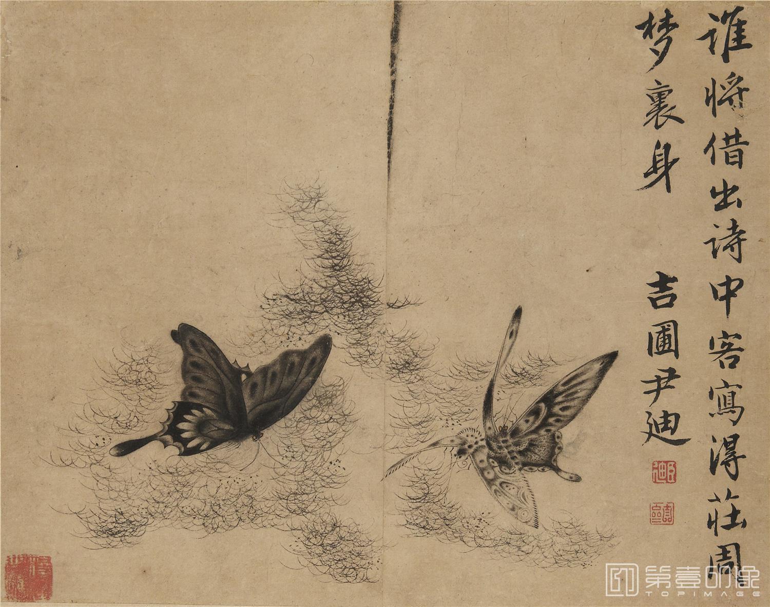 国画-蝴蝶草虫图册纸本-006-24.3 x 31.1cm