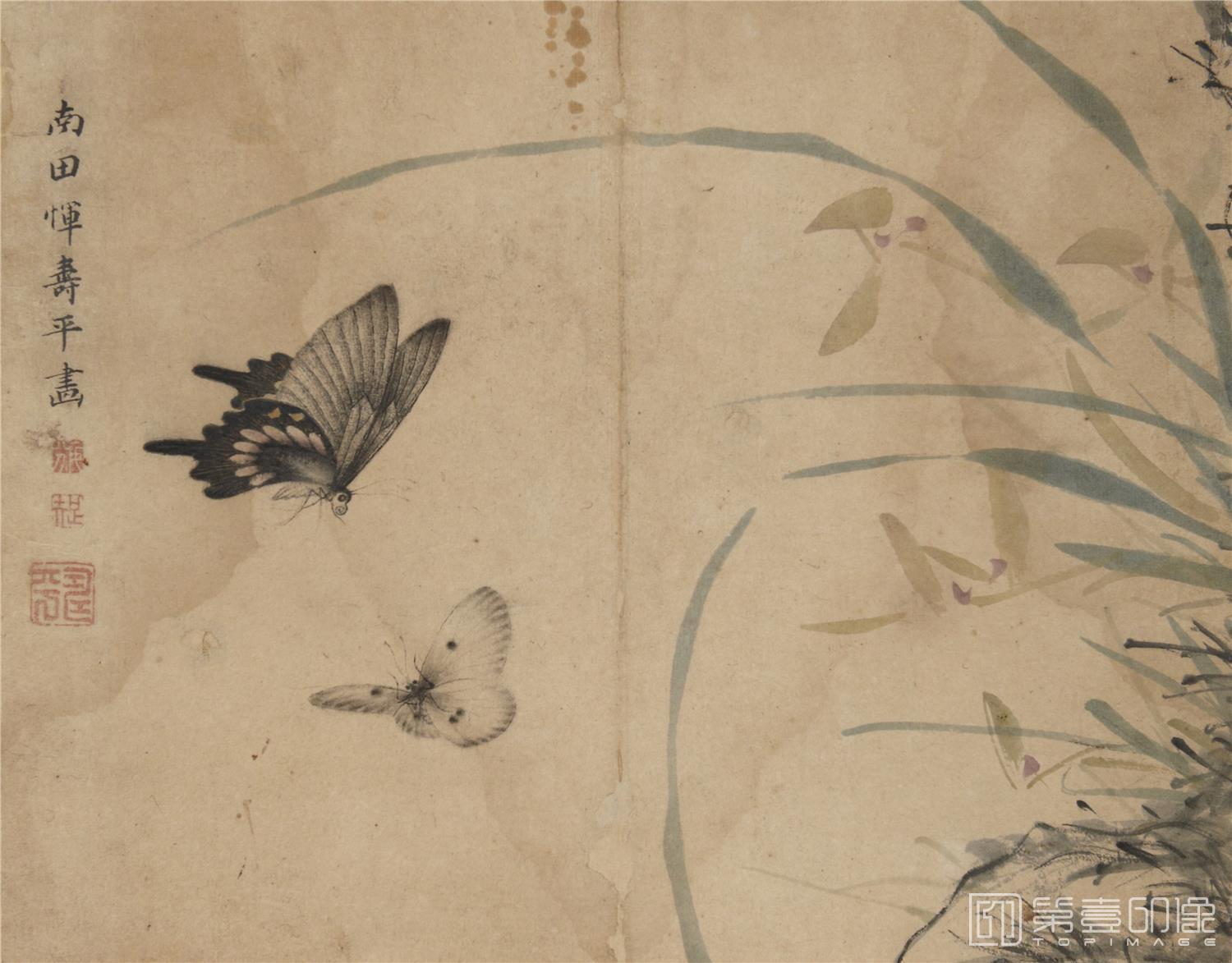 国画-蝴蝶草虫图册纸本-007-24.3 x 31.1cm