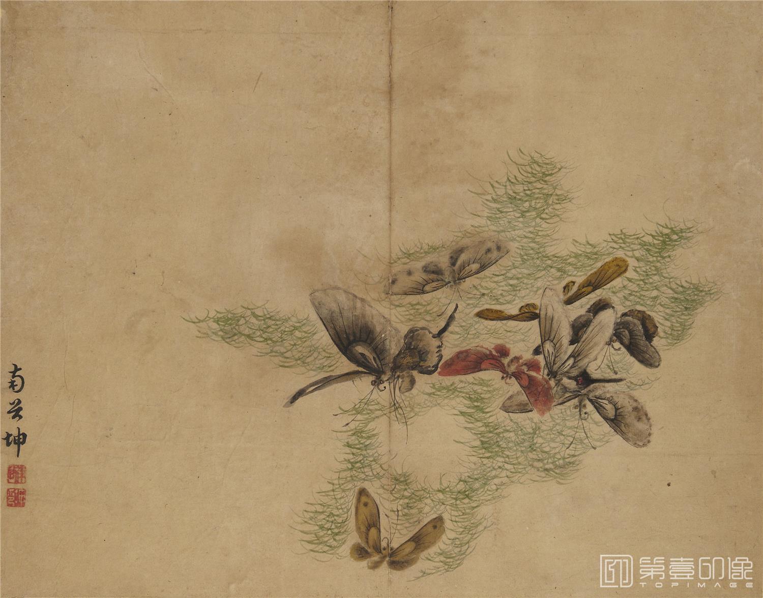 国画-蝴蝶草虫图册纸本-008-24.3 x 31.1cm