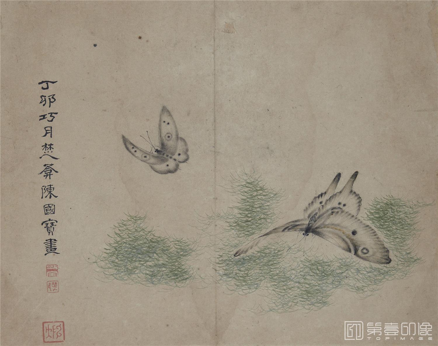 国画-蝴蝶草虫图册纸本-010-24.3 x 31.1cm