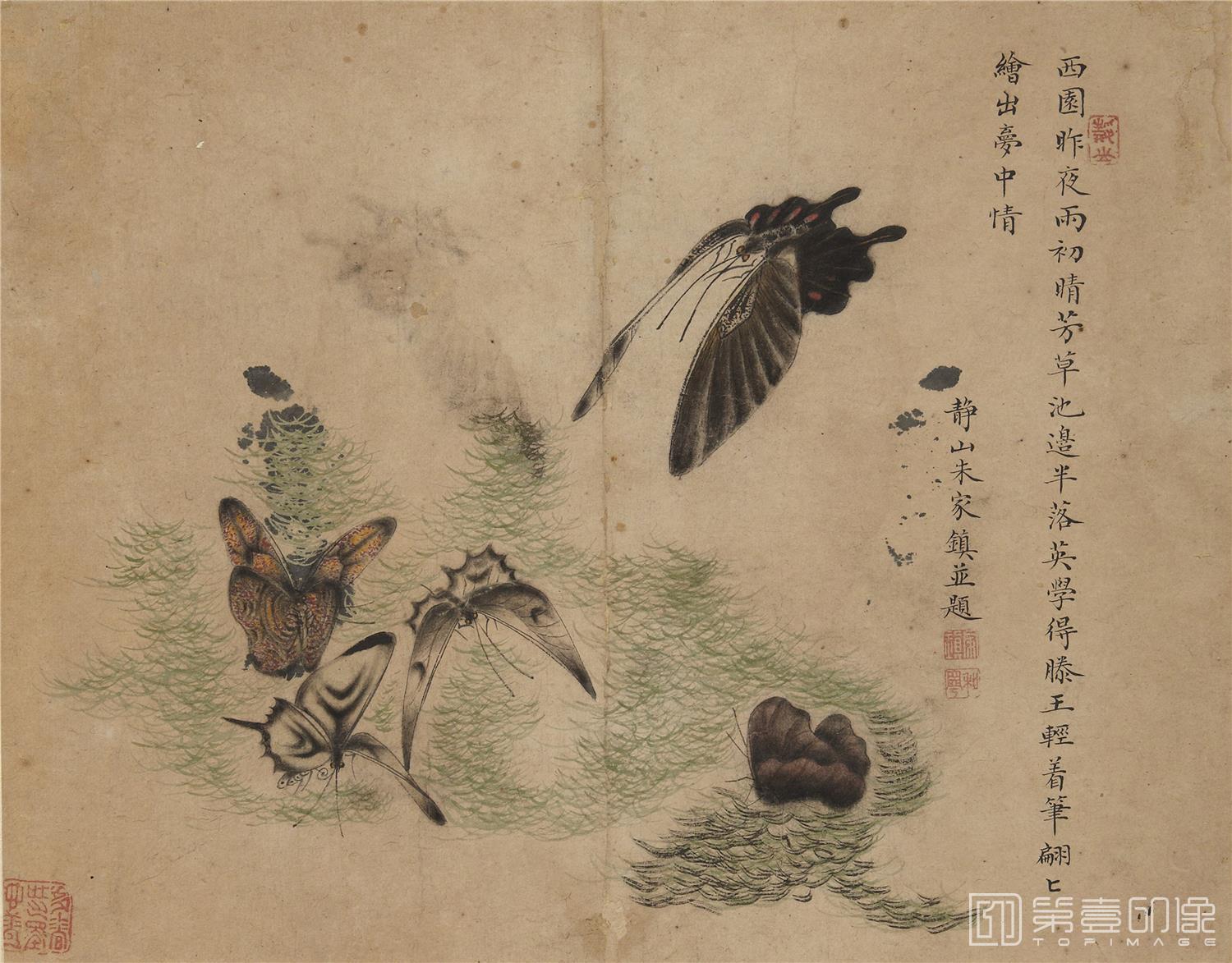 国画-蝴蝶草虫图册纸本-011-24.3 x 31.1cm