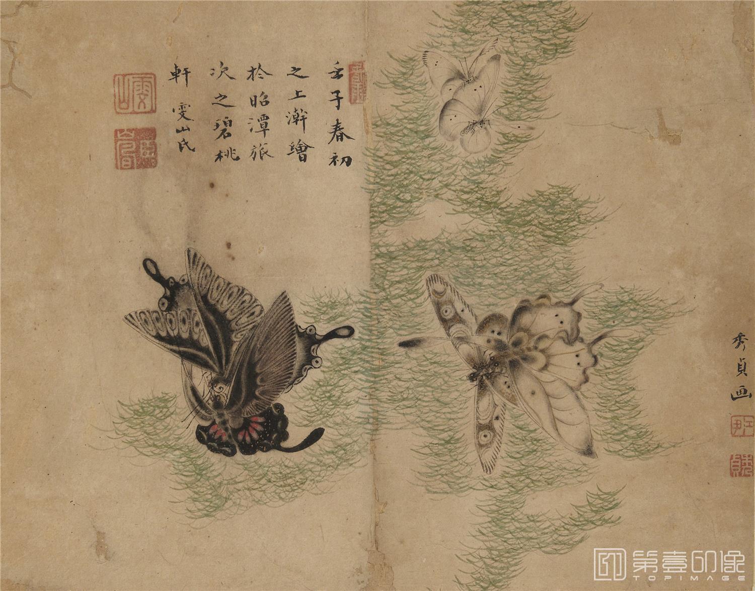 国画-蝴蝶草虫图册纸本-012-24.3 x 31.1cm