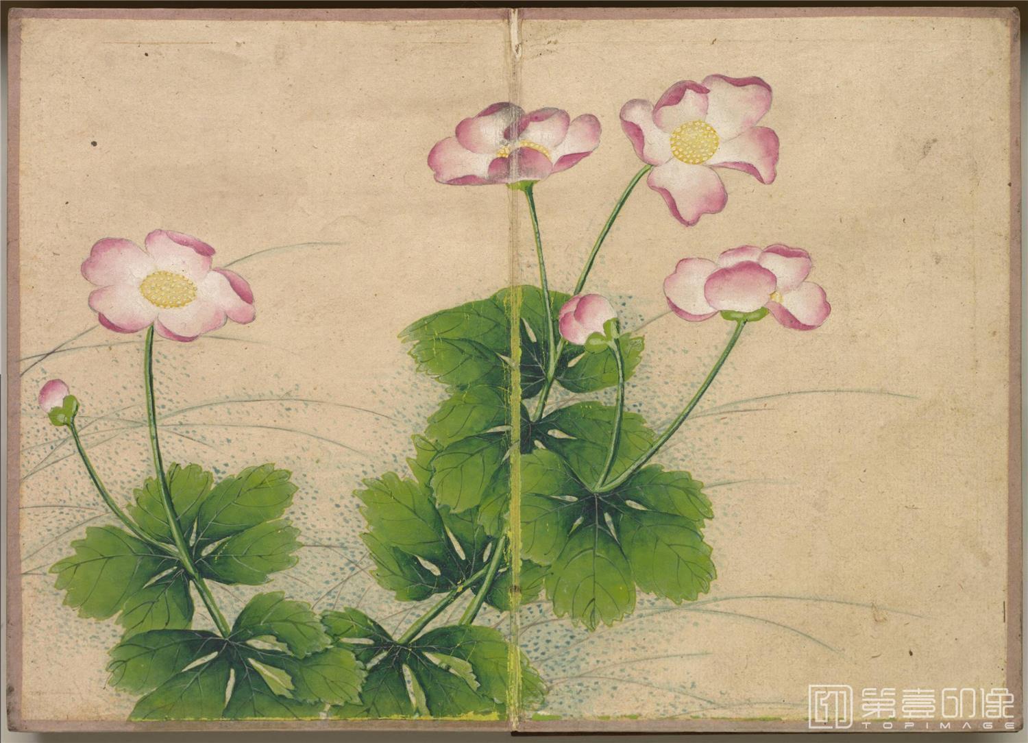 国画-花鸟册绢本-001-14.4 x 20.2cm