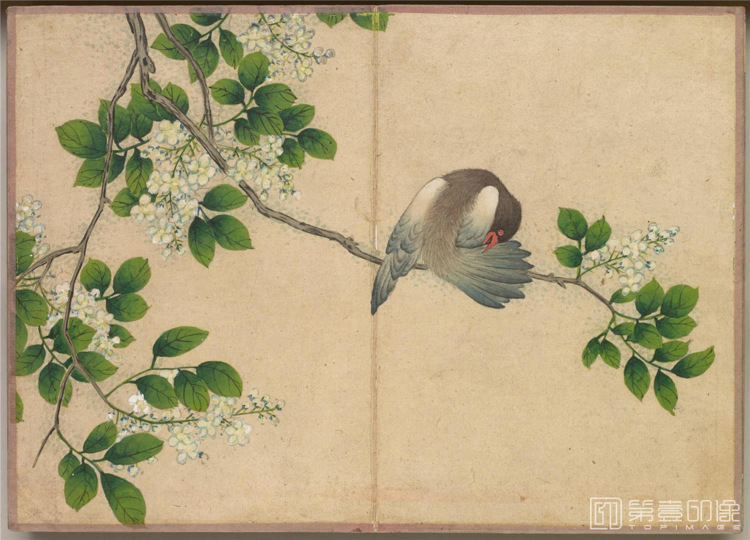 国画-花鸟册绢本-006-14.4 x 20.2cm