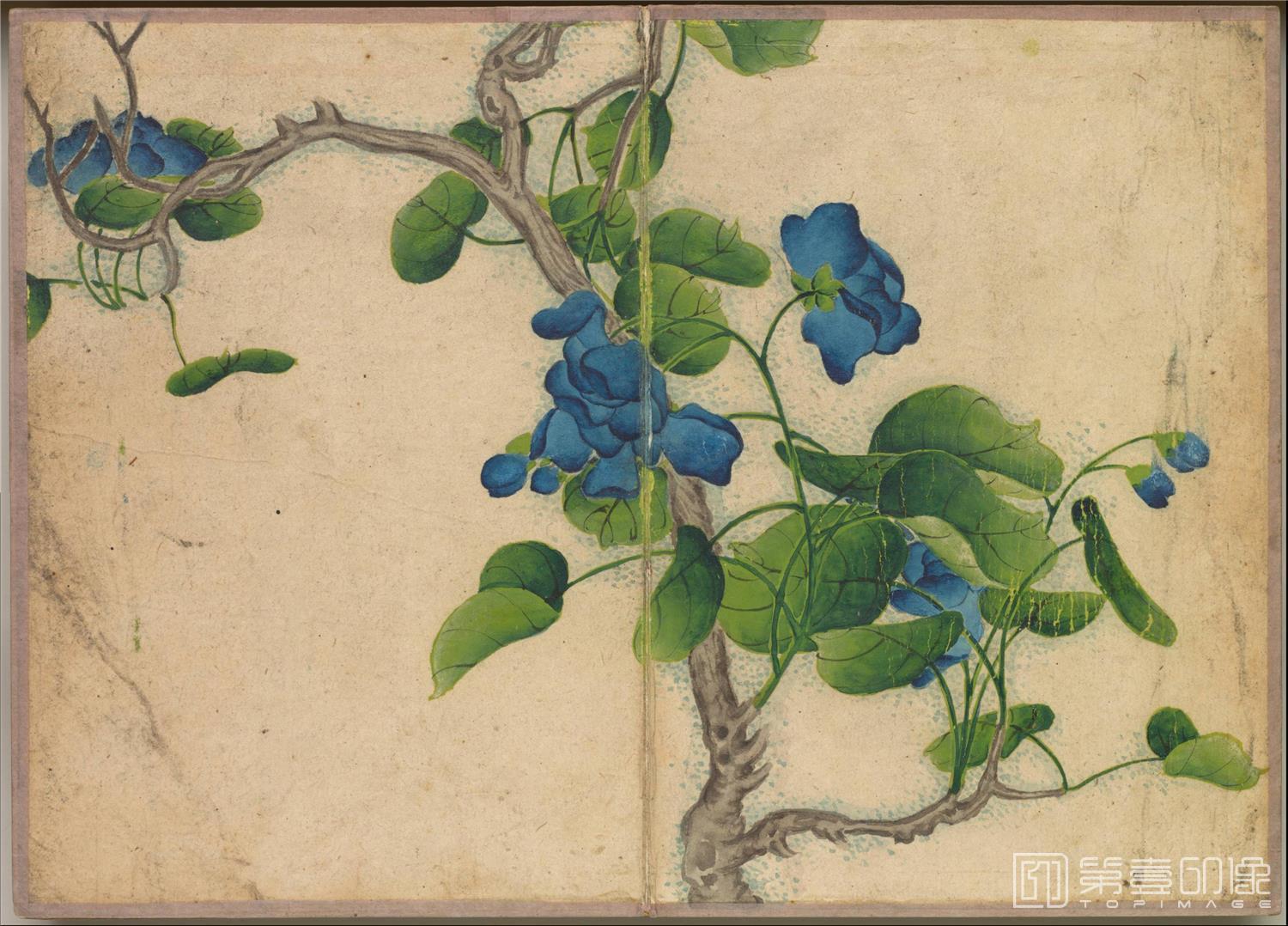 国画-花鸟册绢本-007-14.4 x 20.2cm