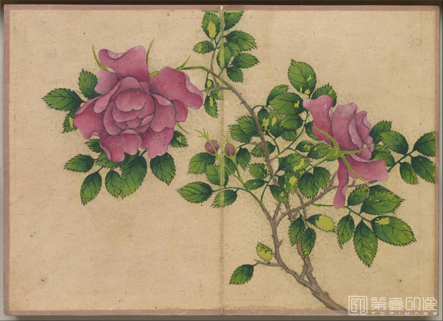 国画-花鸟册绢本-008-14.4 x 20.2cm