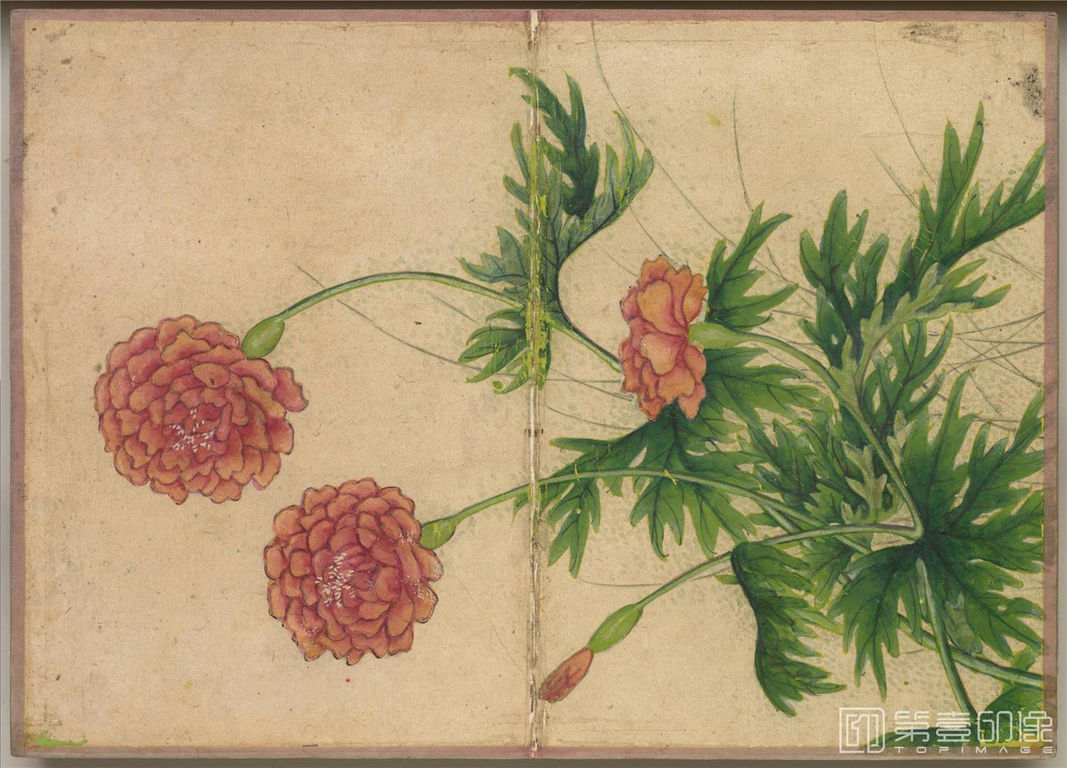 国画-花鸟册绢本-009-14.4 x 20.2cm