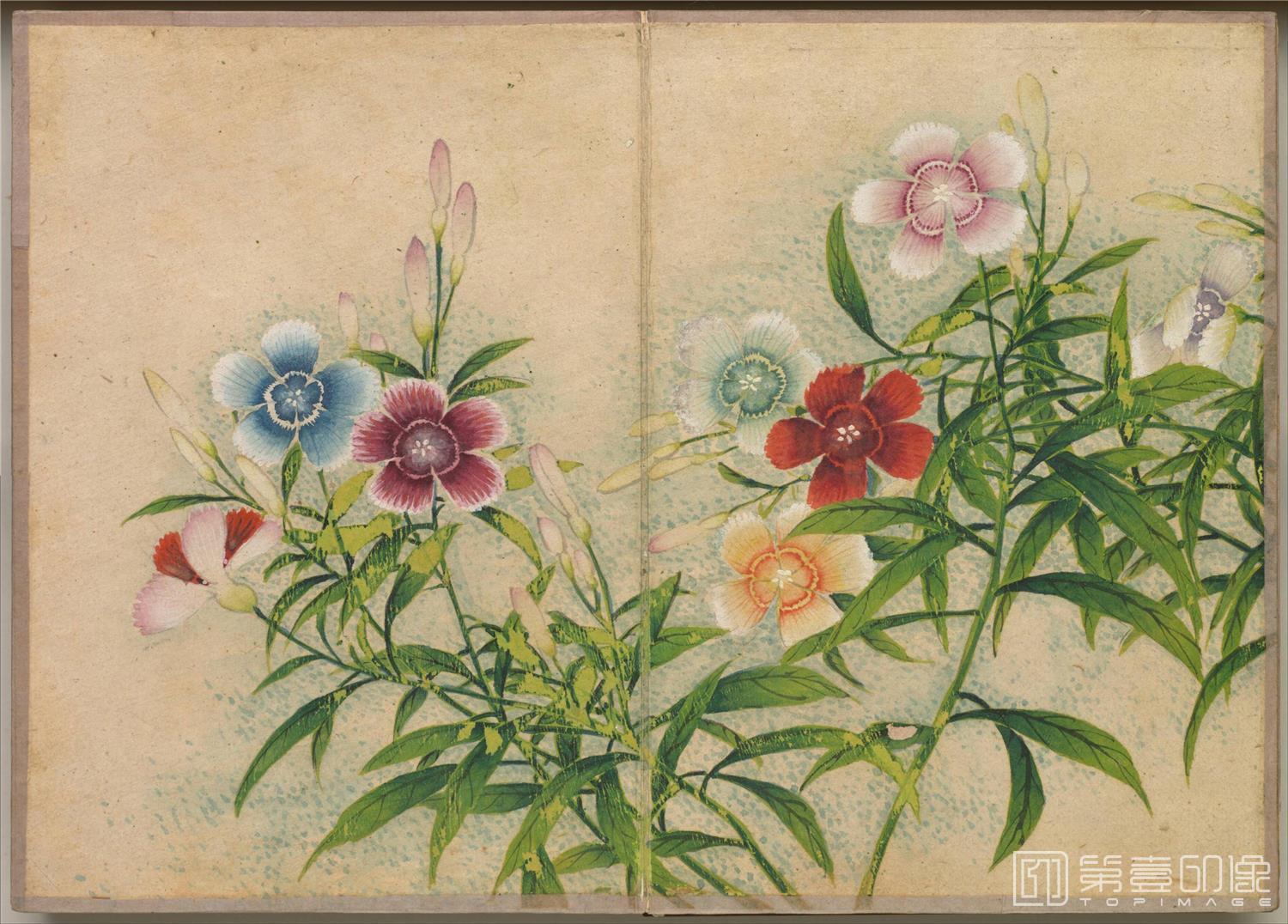 国画-花鸟册绢本-010-14.4 x 20.2cm