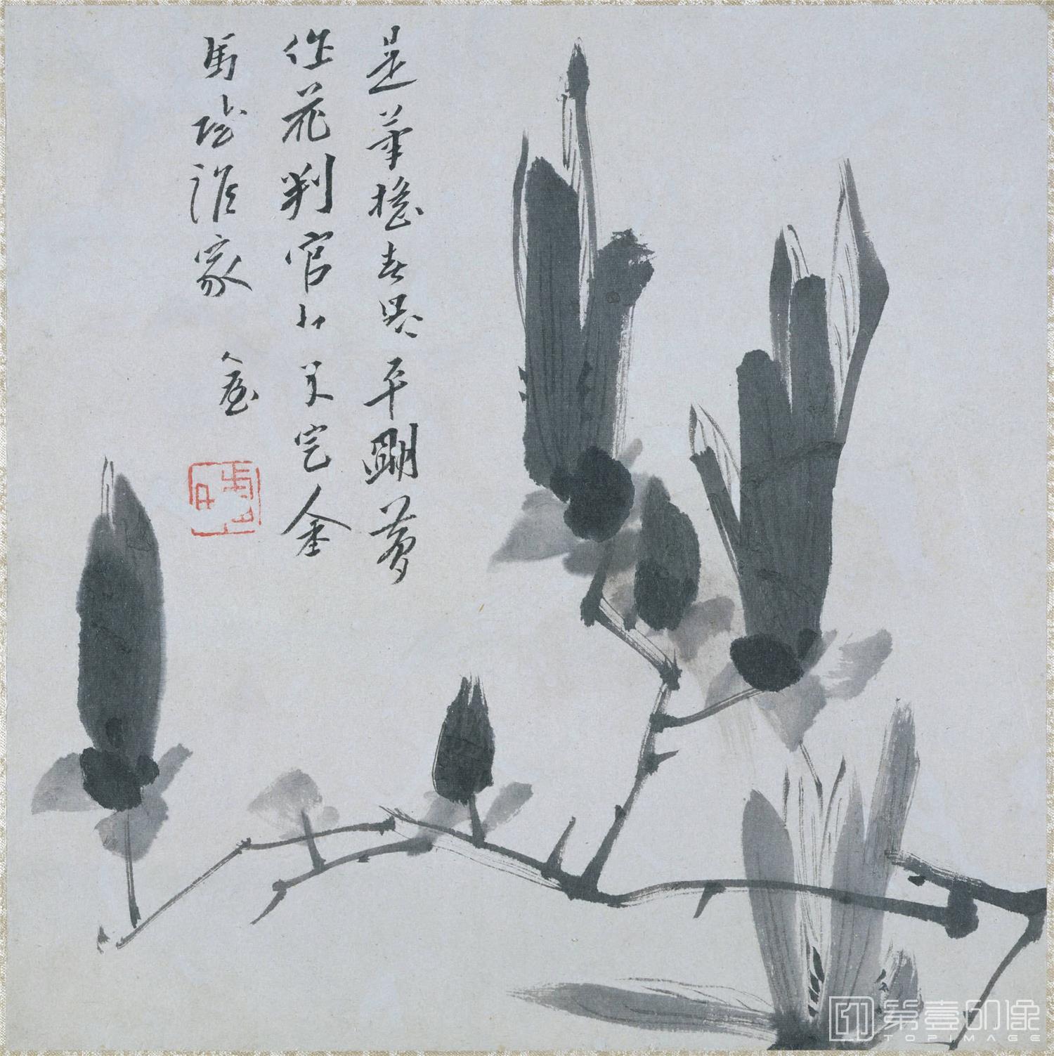 国画-草虫图册纸本-003-36.6 x 68cm