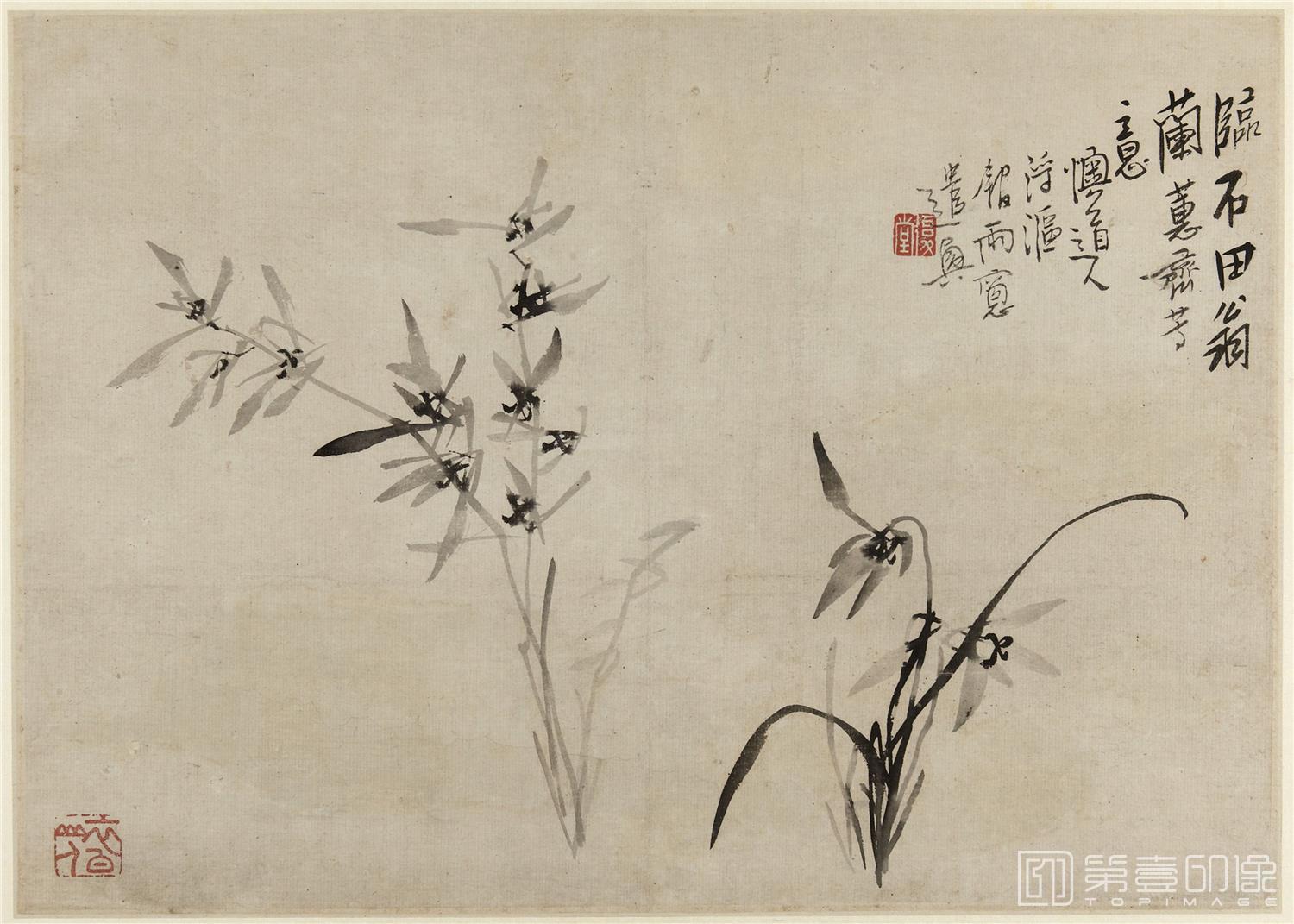 国画-兰竹图册纸本-008-33 x 46cm