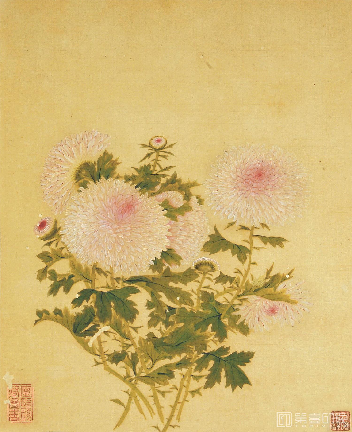 国画-菊谱图册页描金纸-25x22cm-19