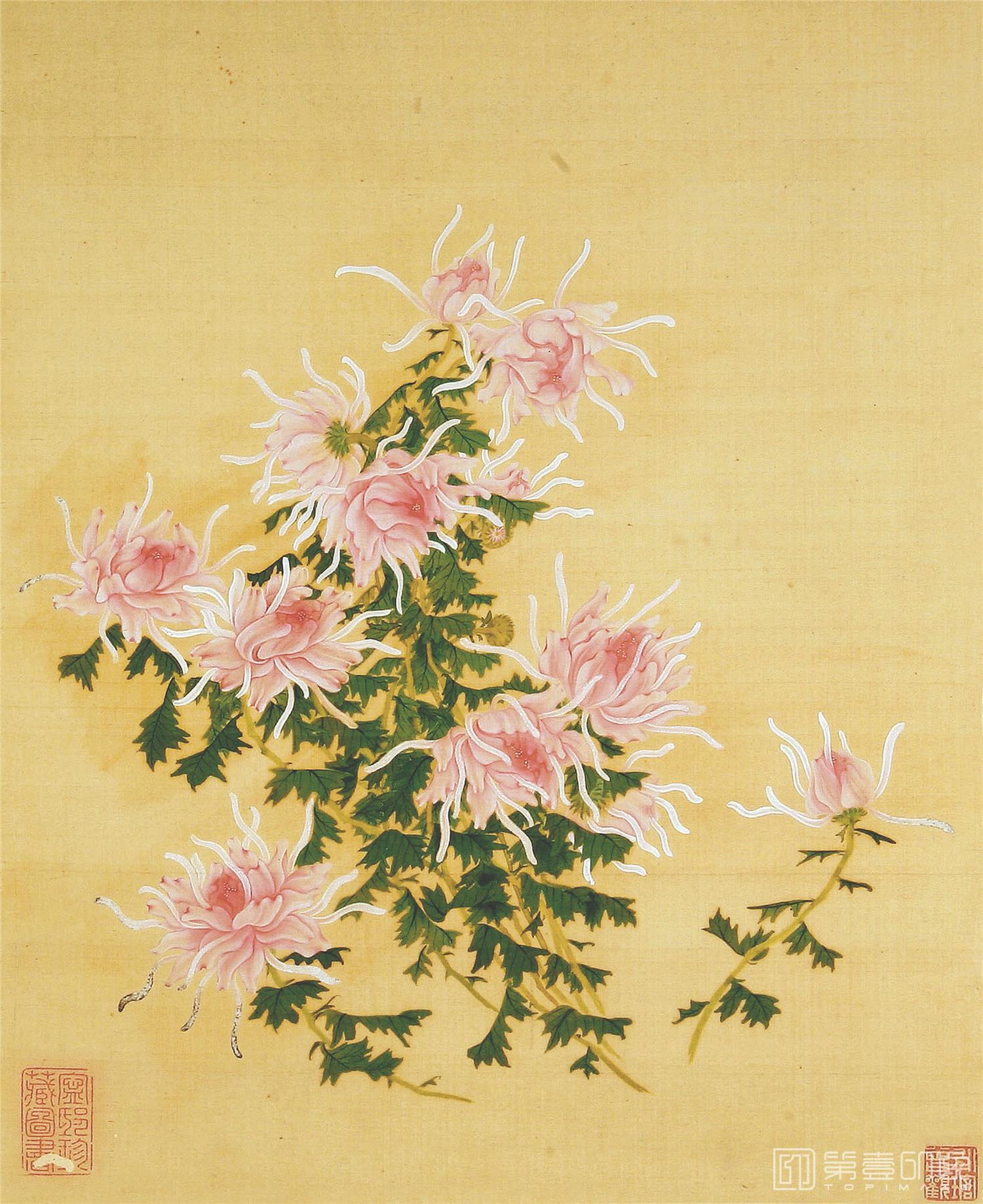 国画-菊谱图册页描金纸-25x22cm-07