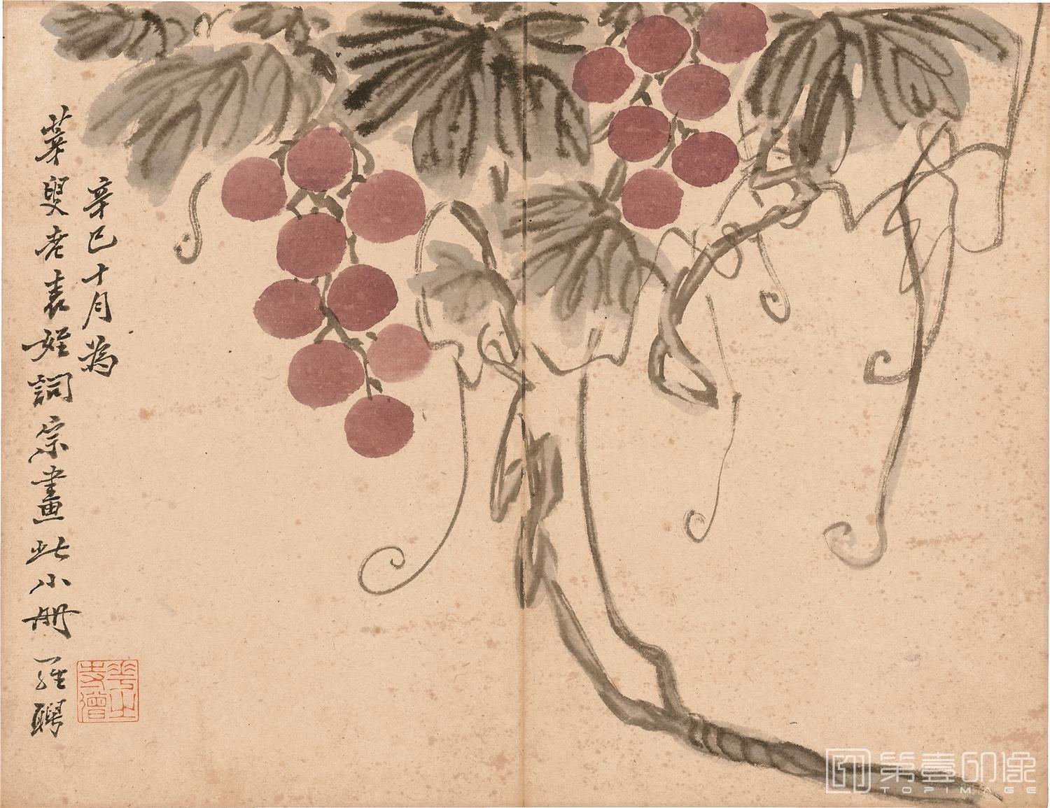 国画-花果图册12开纸本-31x24cm-11