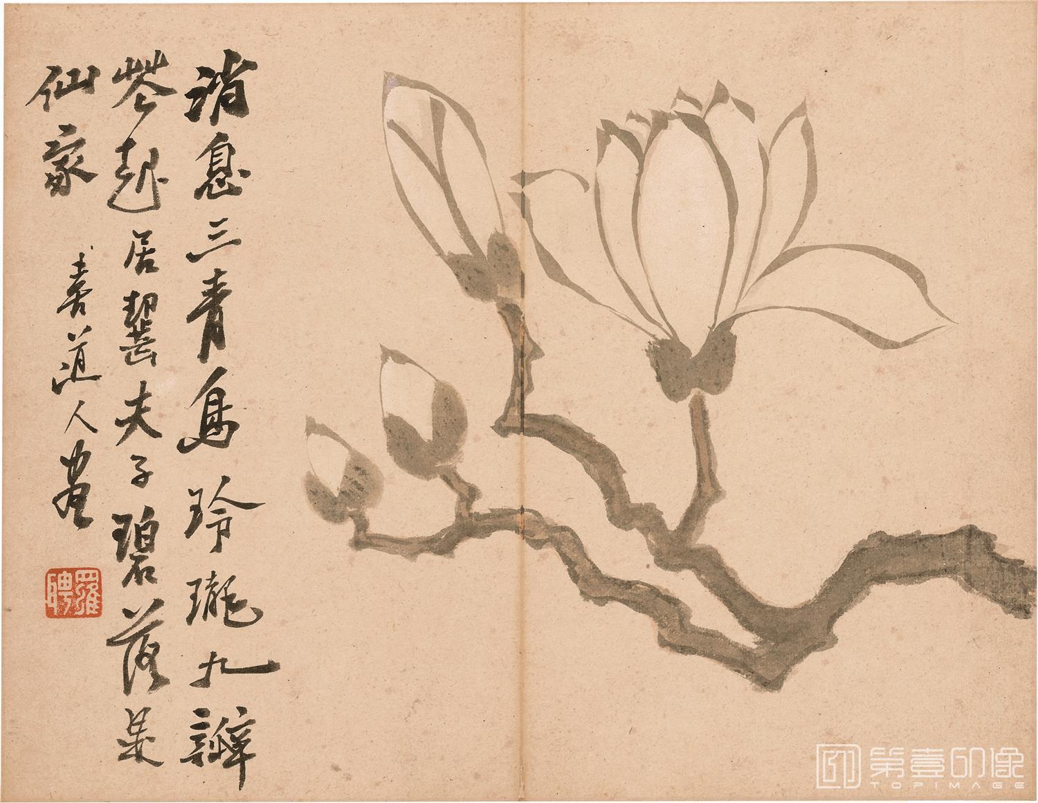 国画-花果图册12开纸本-31x24cm-12