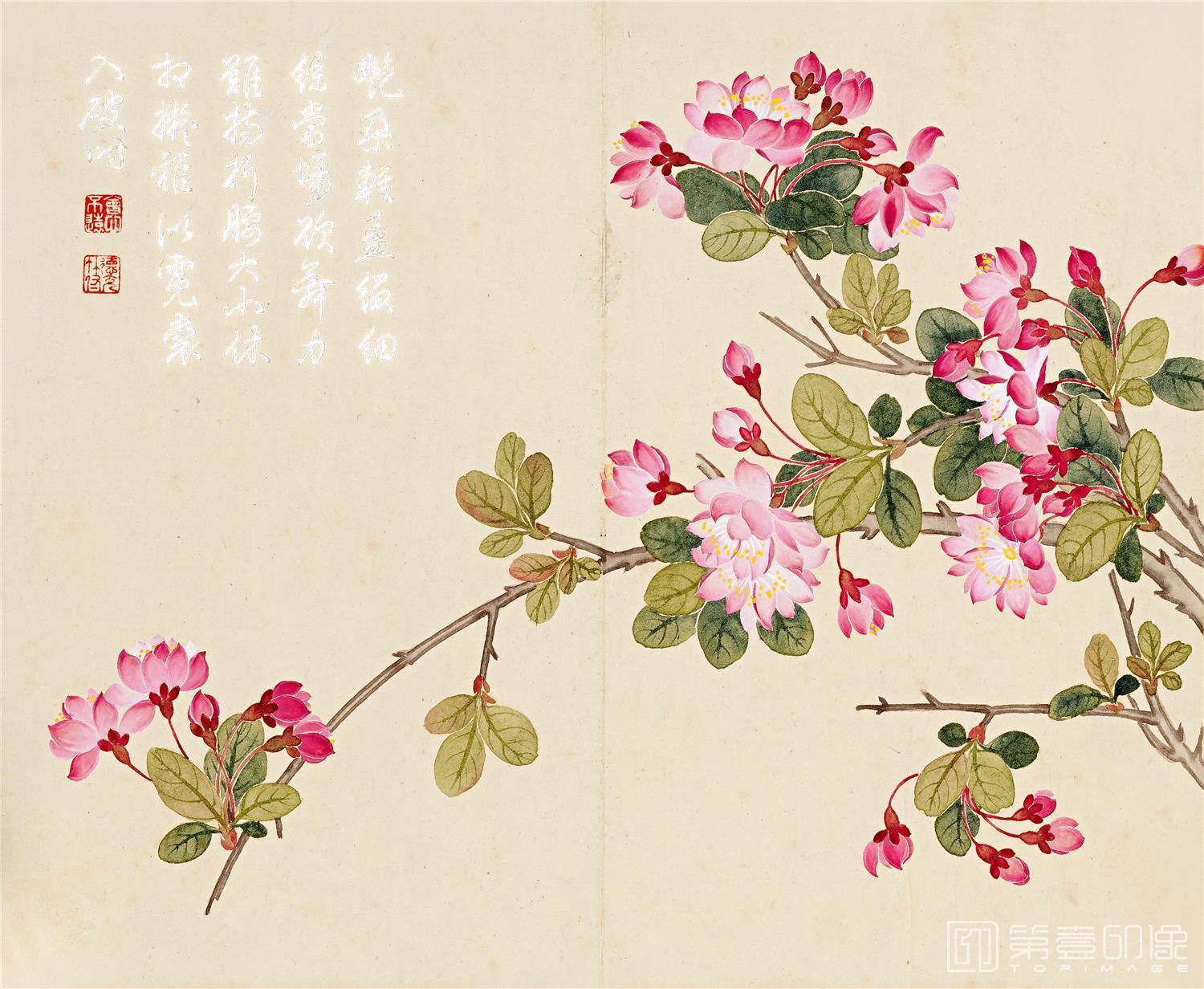 国画-花卉册页-28x23cm-11