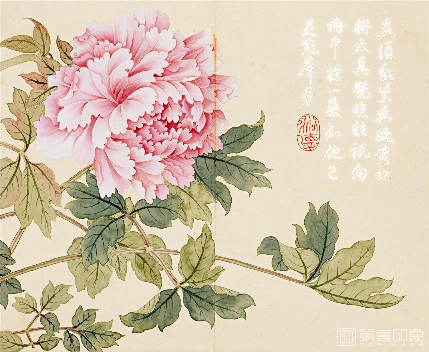 国画-花卉册页-28x23cm-12
