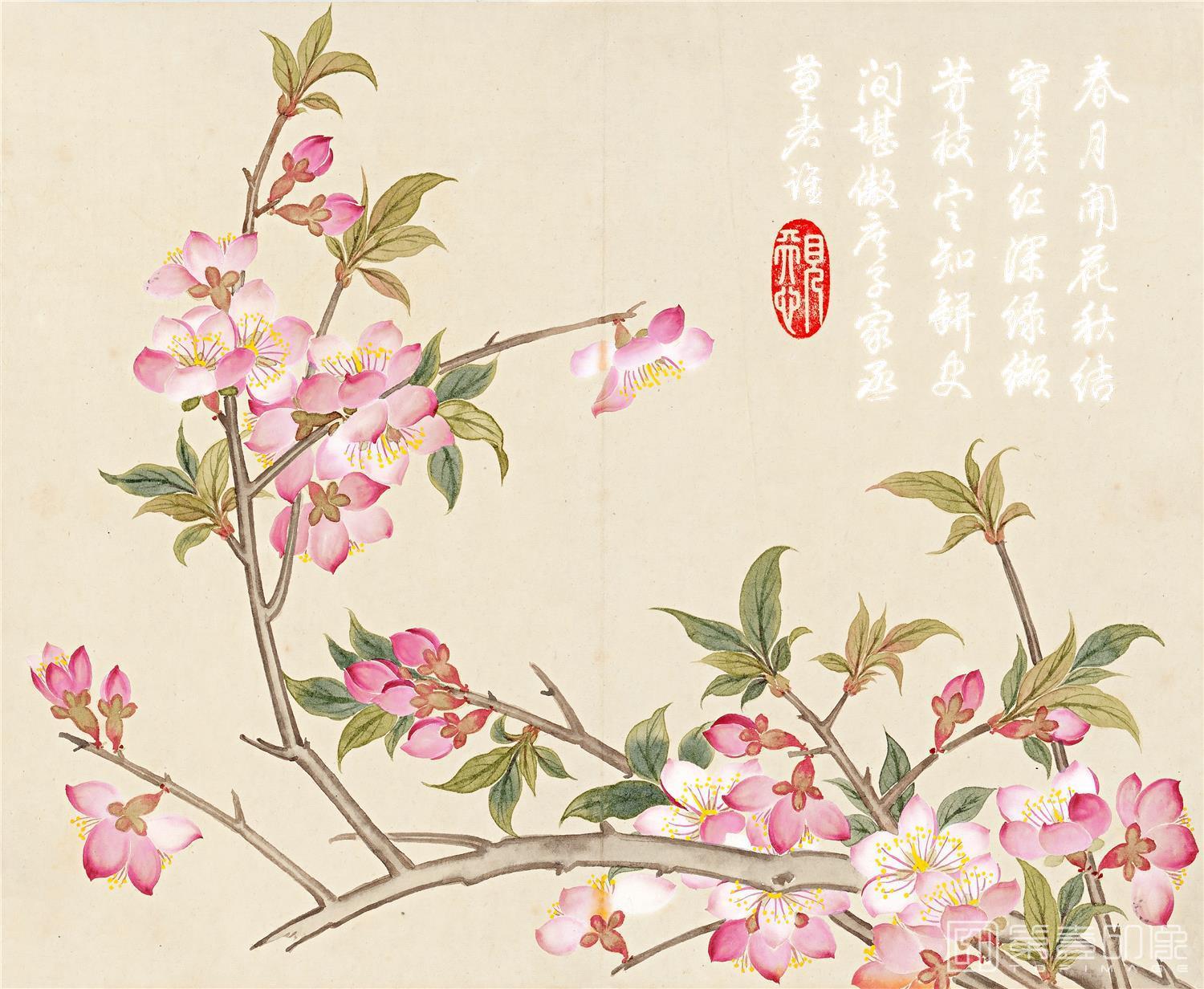 国画-花卉册页-28x23cm-01