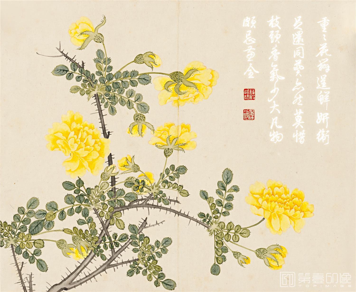 国画-花卉册页-28x23cm-04