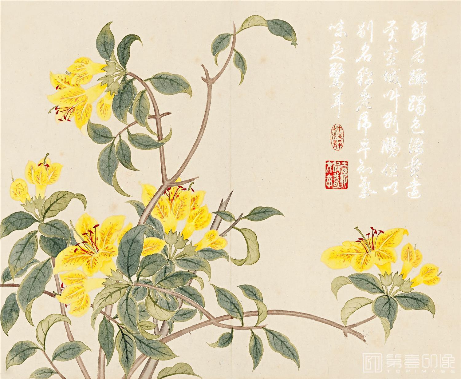国画-花卉册页-28x23cm-06