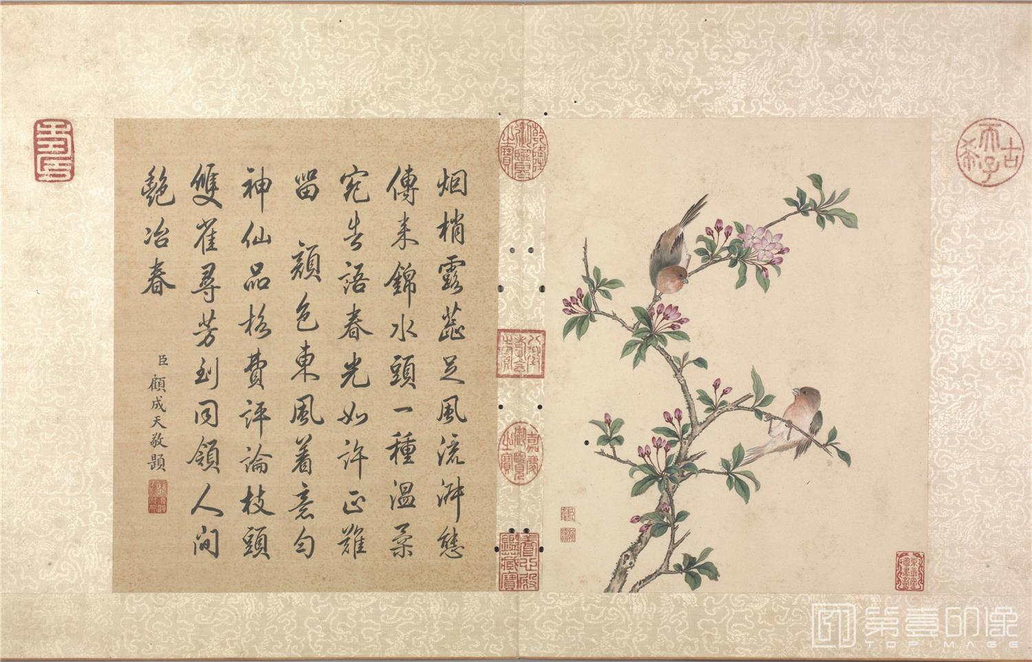 国画-花卉虫草册-40x40.2cm-02