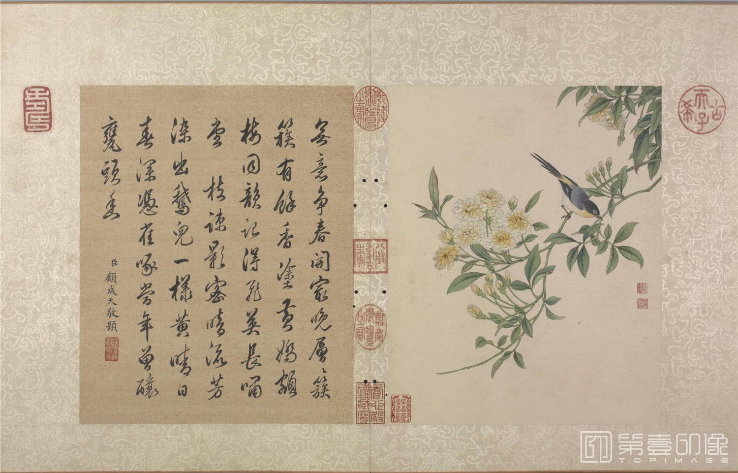 国画-花卉虫草册-40x40.2cm-07