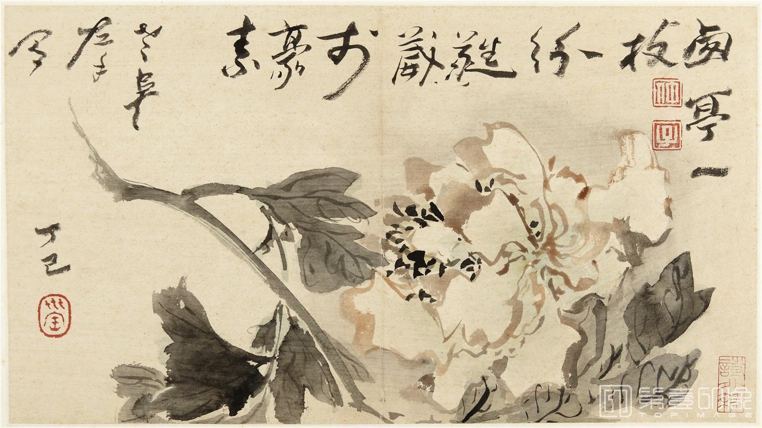 国画-墨花图册纸本-30x26cm-05