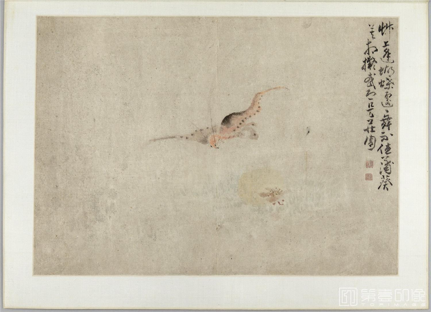 国画-花卉草虫人物图册-23.2x32.3cm-06