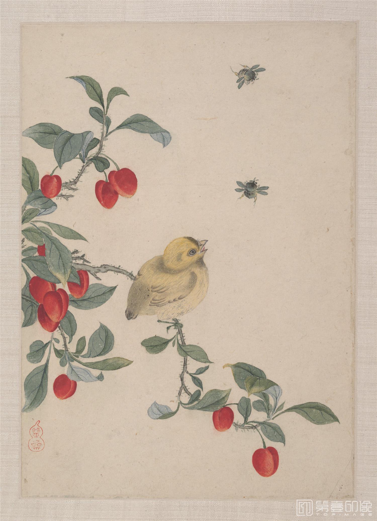 国画-花鸟图画合集册7帧纸本-24x33cm-01