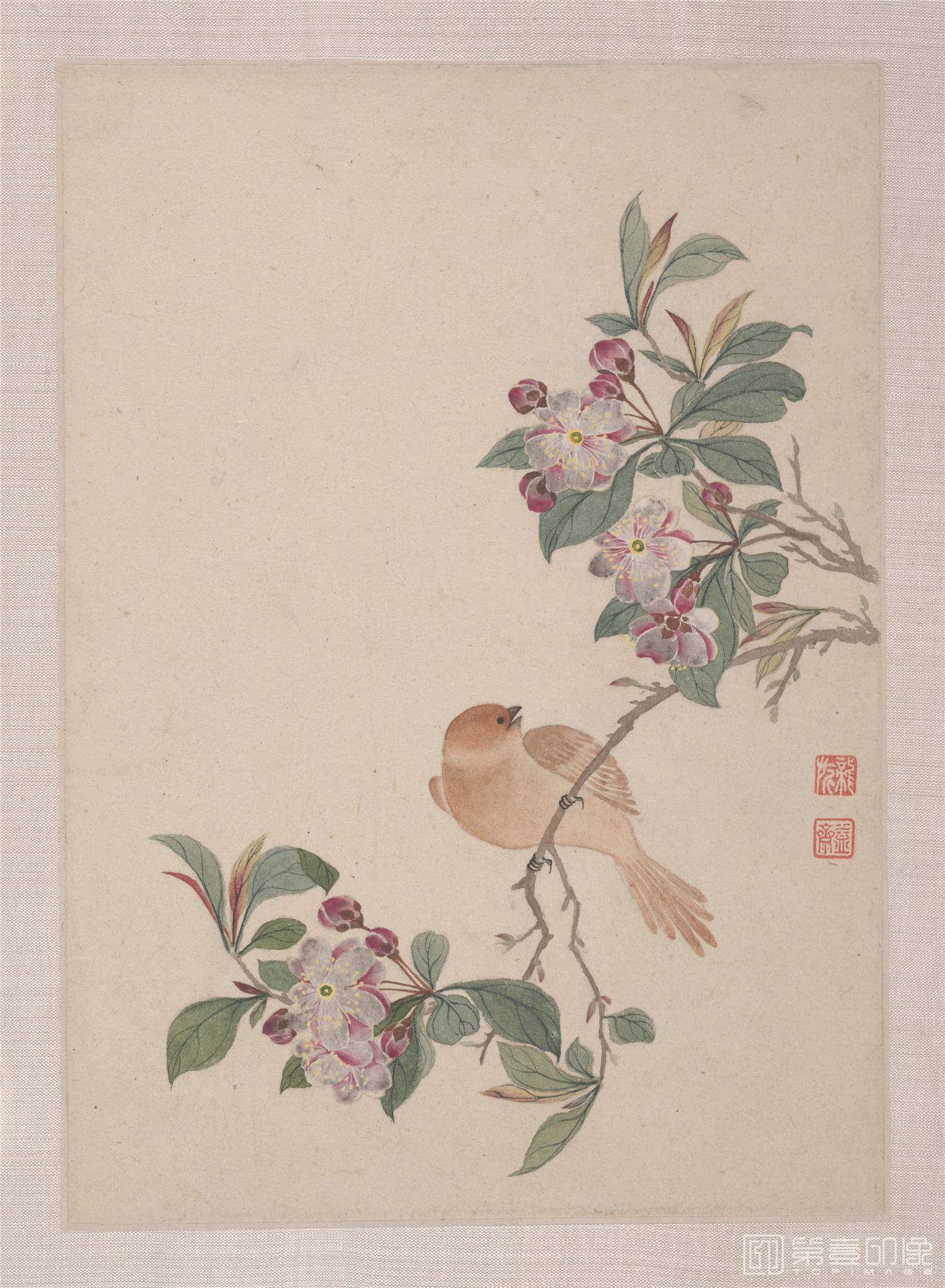 国画-花鸟图画合集册7帧纸本-24x33cm-05