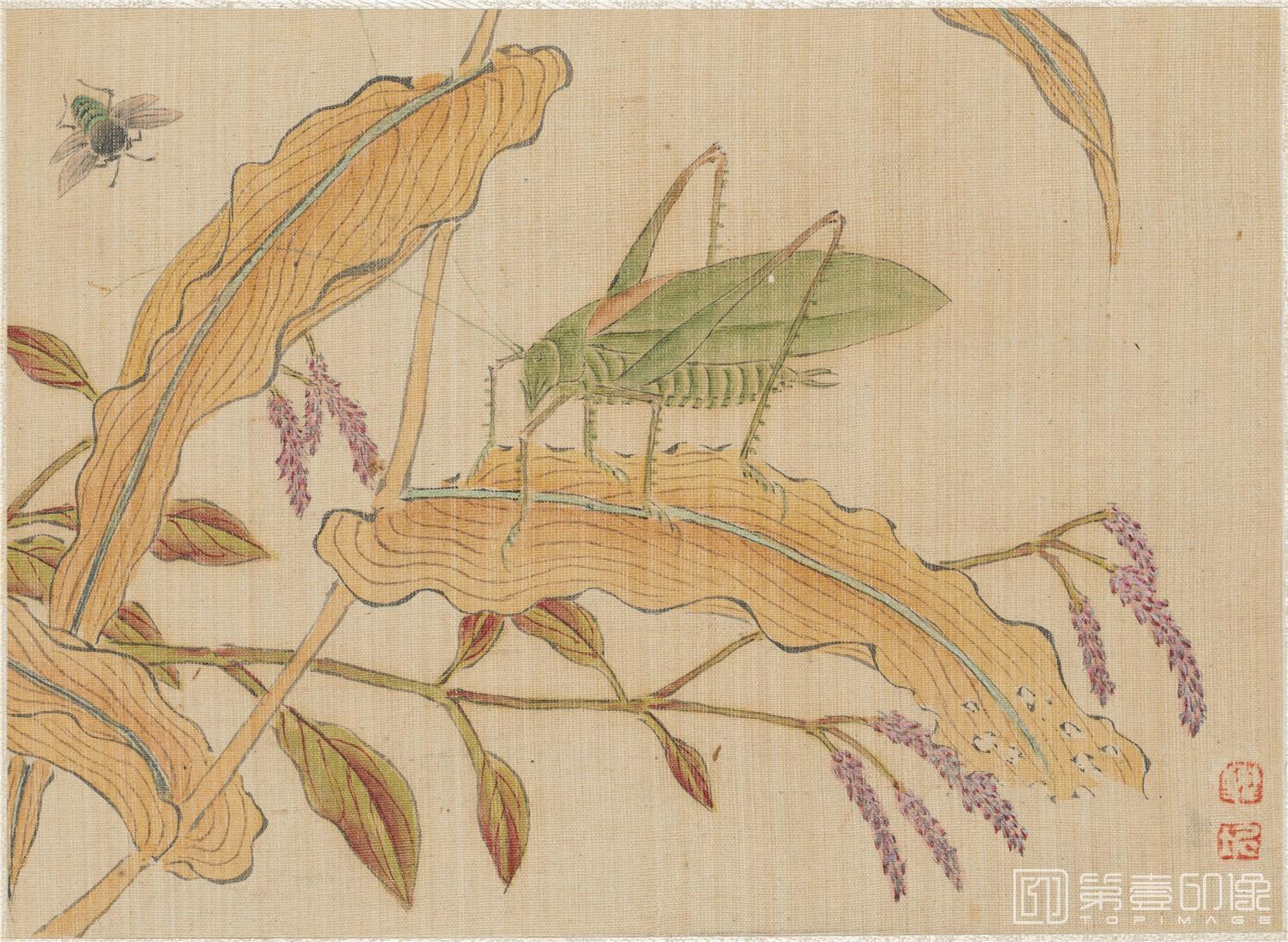 国画-金陵八大家山水花卉册20帧绢本-013-32.6 x 37.3cm
