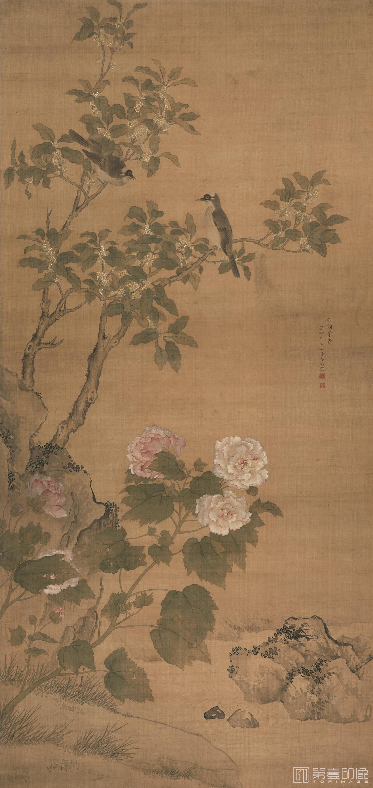 国画-白头荣贵图立轴绢本-133x66