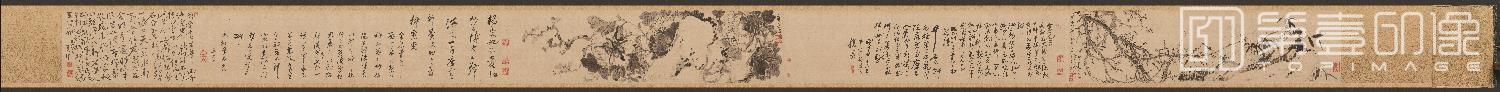 国画-梅花牡丹诗画卷纸本-26 x 96.2cm