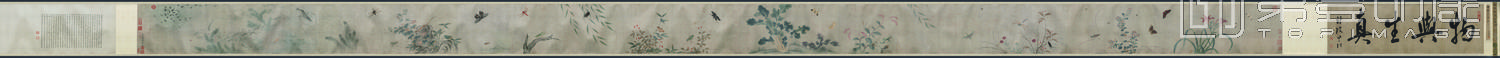 国画-草虫图卷真迹纸本-799 x 30.5cm