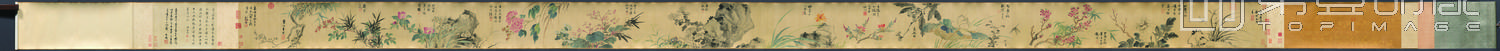 国画-四季花卉图卷绢本-24 x 545cm