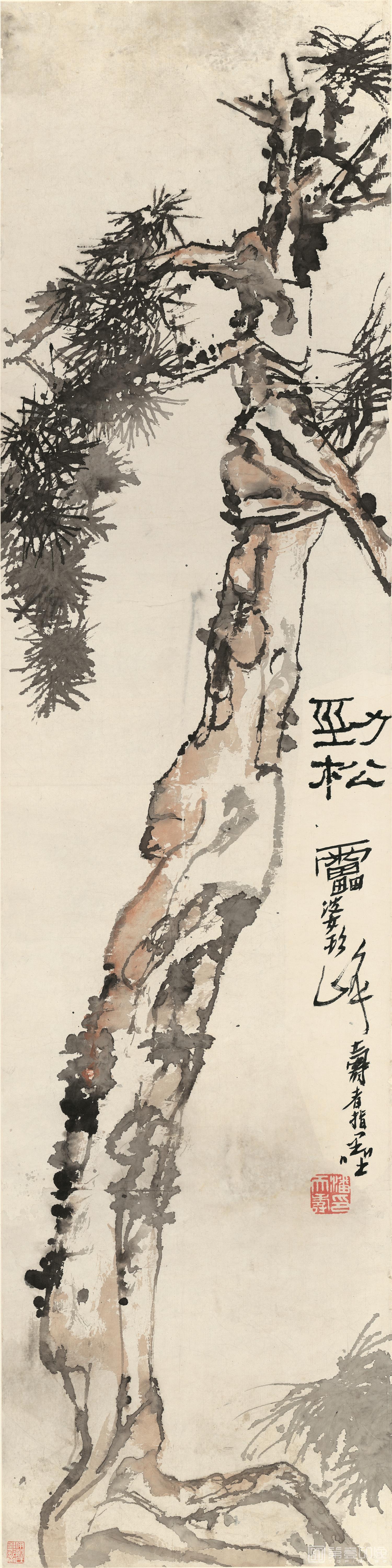 国画-指墨劲松图