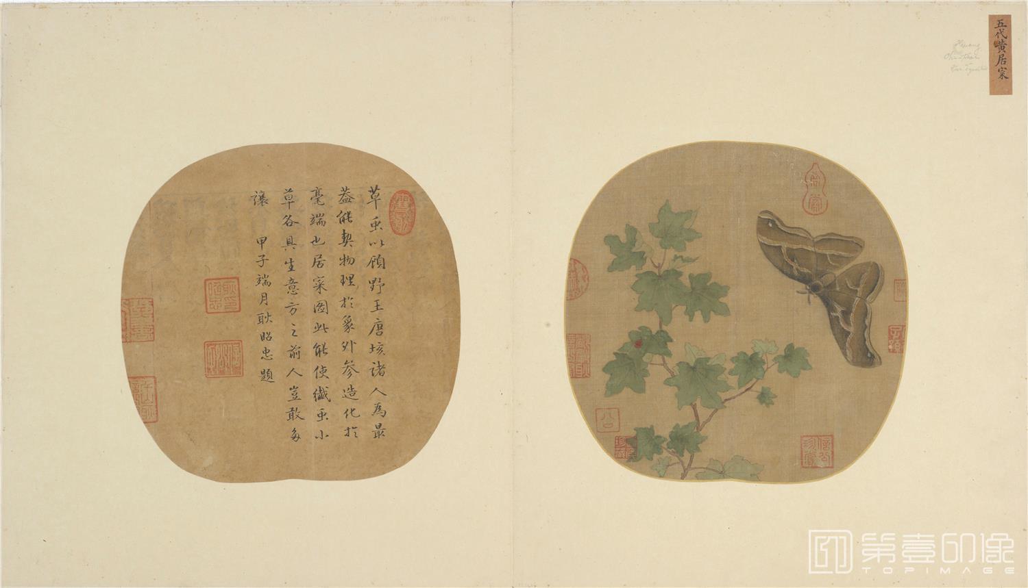 国画-蝴蝶草虫图绢本-33×57