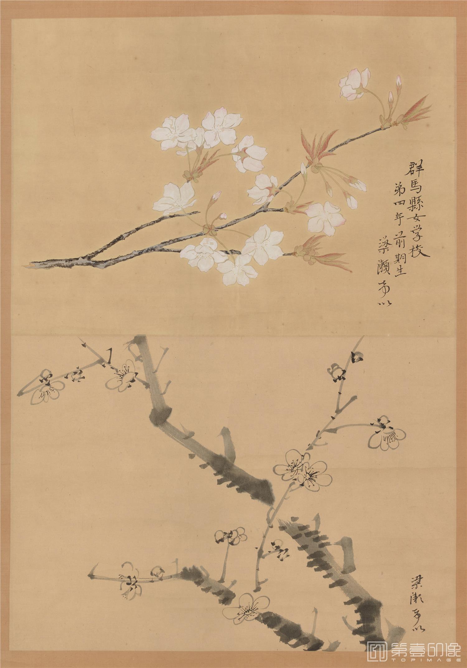 国画-樱花墨梅图立轴纸本-85x59