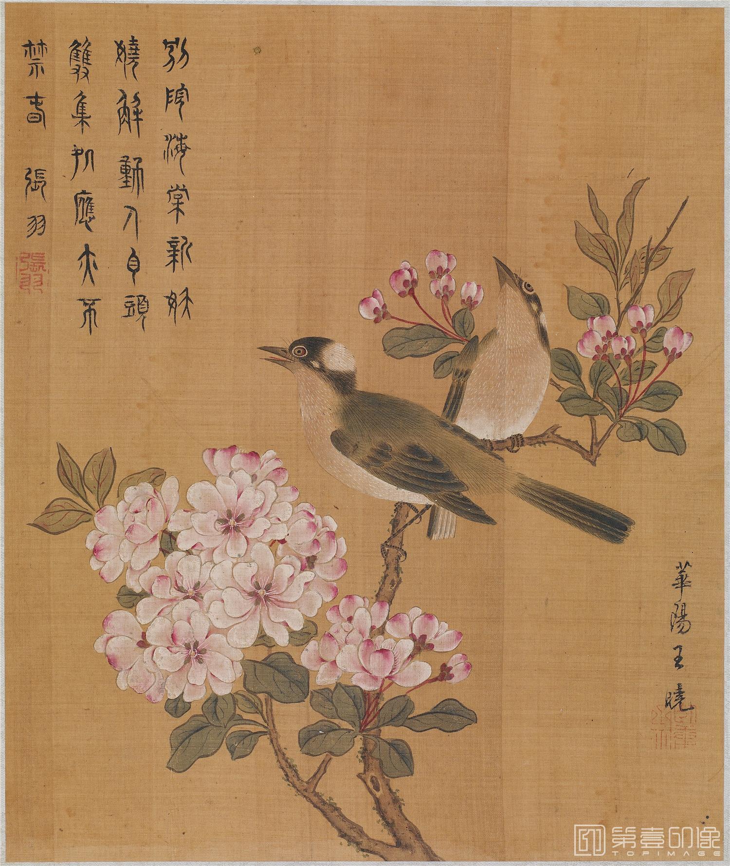 国画-工笔花鸟图页绢本-36x30