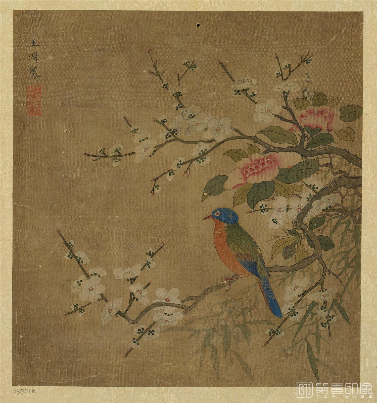 国画-花鸟图页绢本-25x23