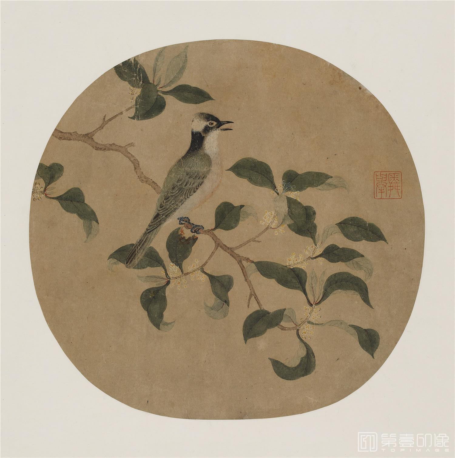 国画-小鸟图团扇纸本-29x29