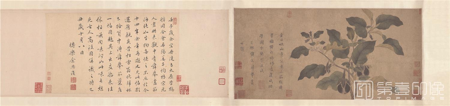 国画-瓜茄图卷纸本-32.8x215