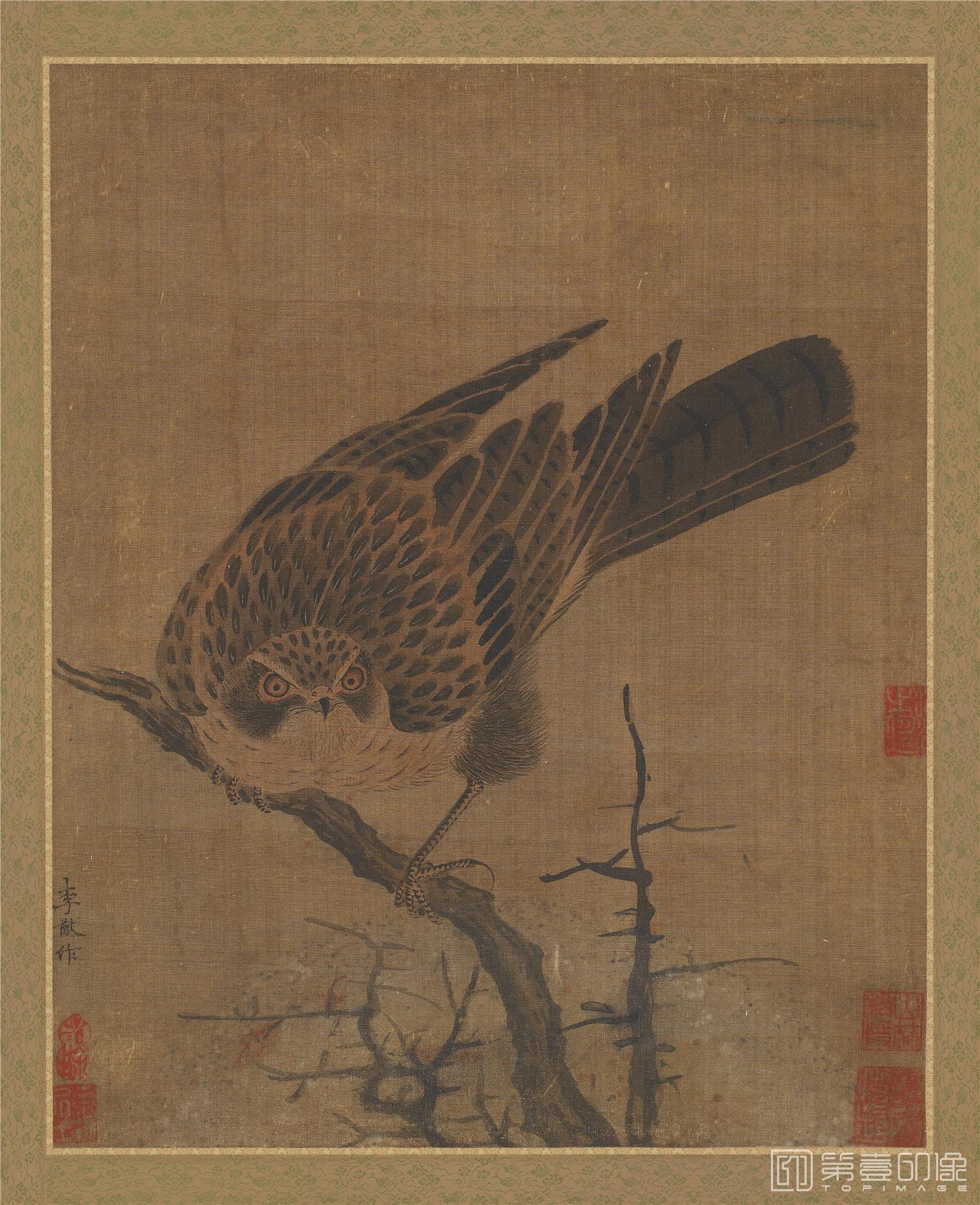 国画-鹰鹘图页绢本-41x33