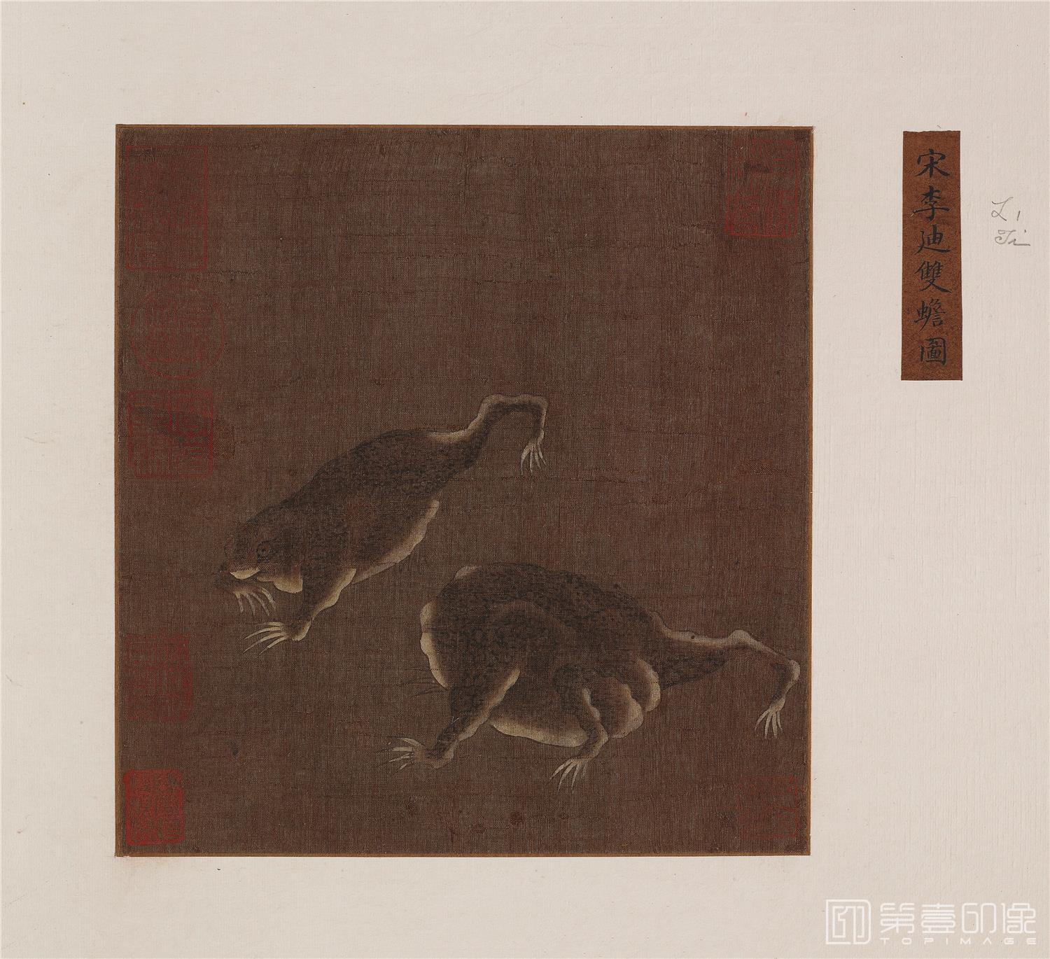 国画-双蟾图绢本-30x 27