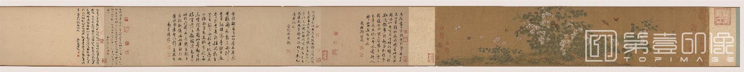 国画-写生蝴蝶花卉图卷绢本-26.9x125.5