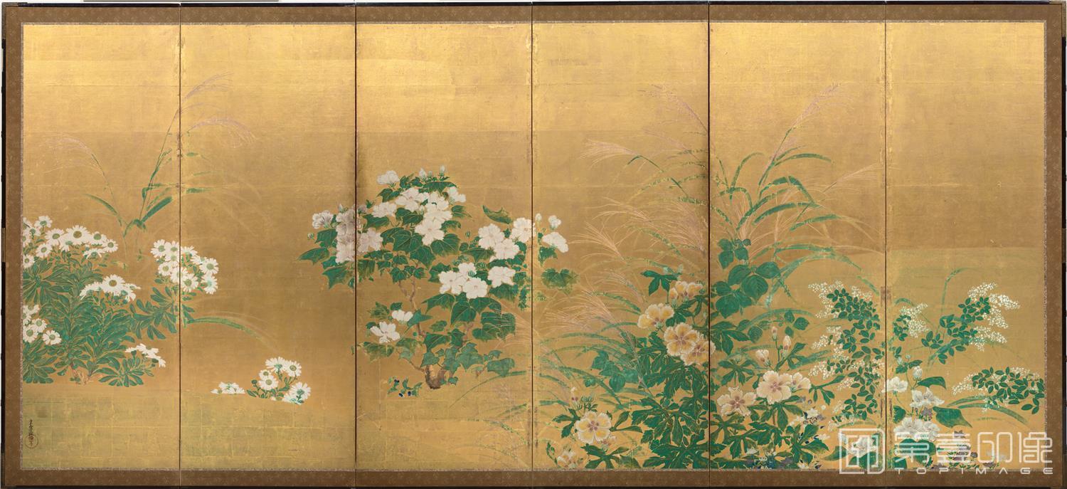 国画-日本平安时代 俵屋宗雪 秋草图屏风纸本金底-1-1585×626