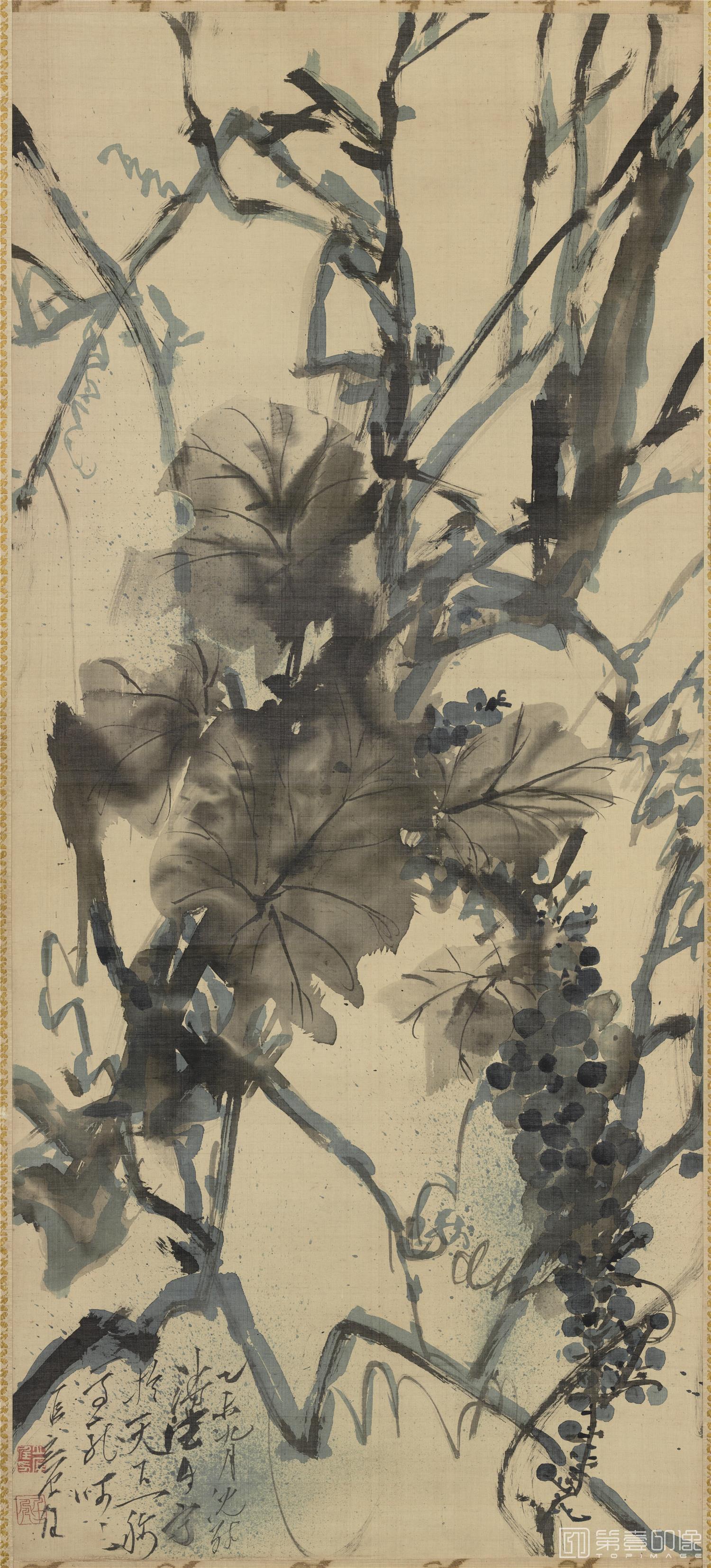国画-日本江户时代 立原杏所 葡萄图立轴绢本淡彩 (东京)-897×401