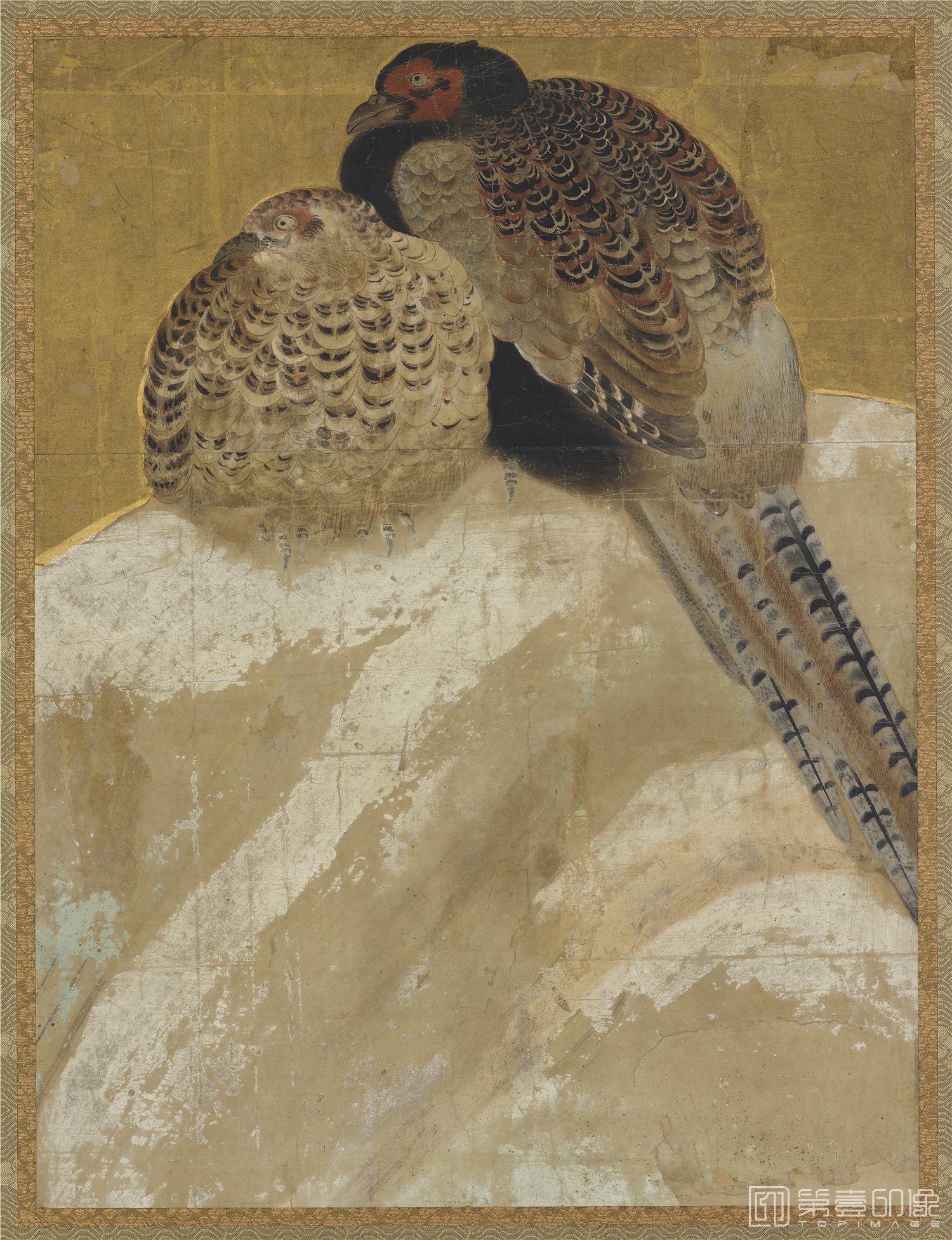 国画-日本 桃山时代 雉雪图金纸-477×36