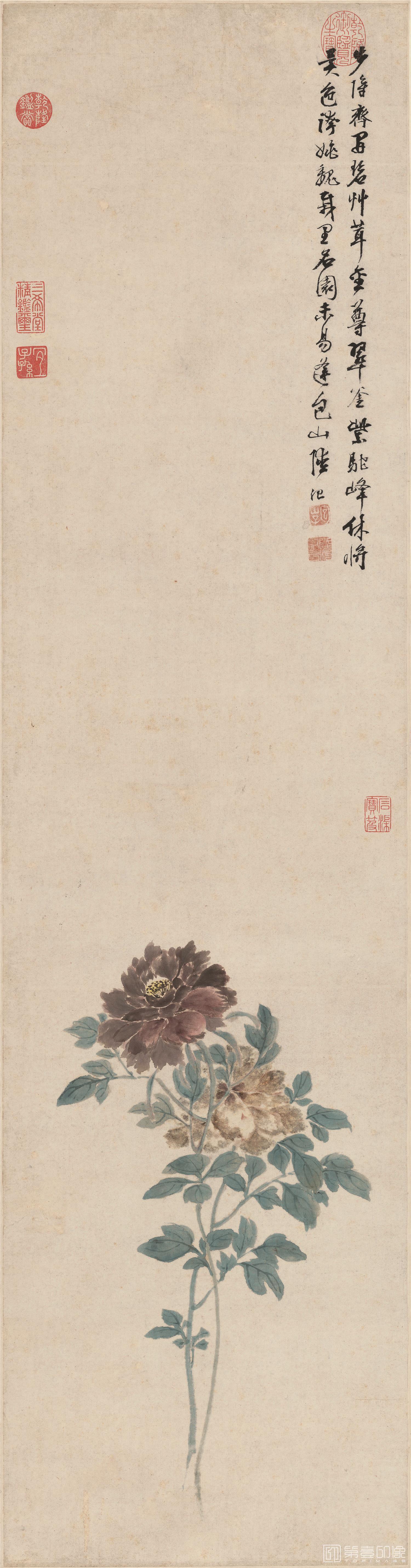 国画-牡丹图 纸本-317×1028