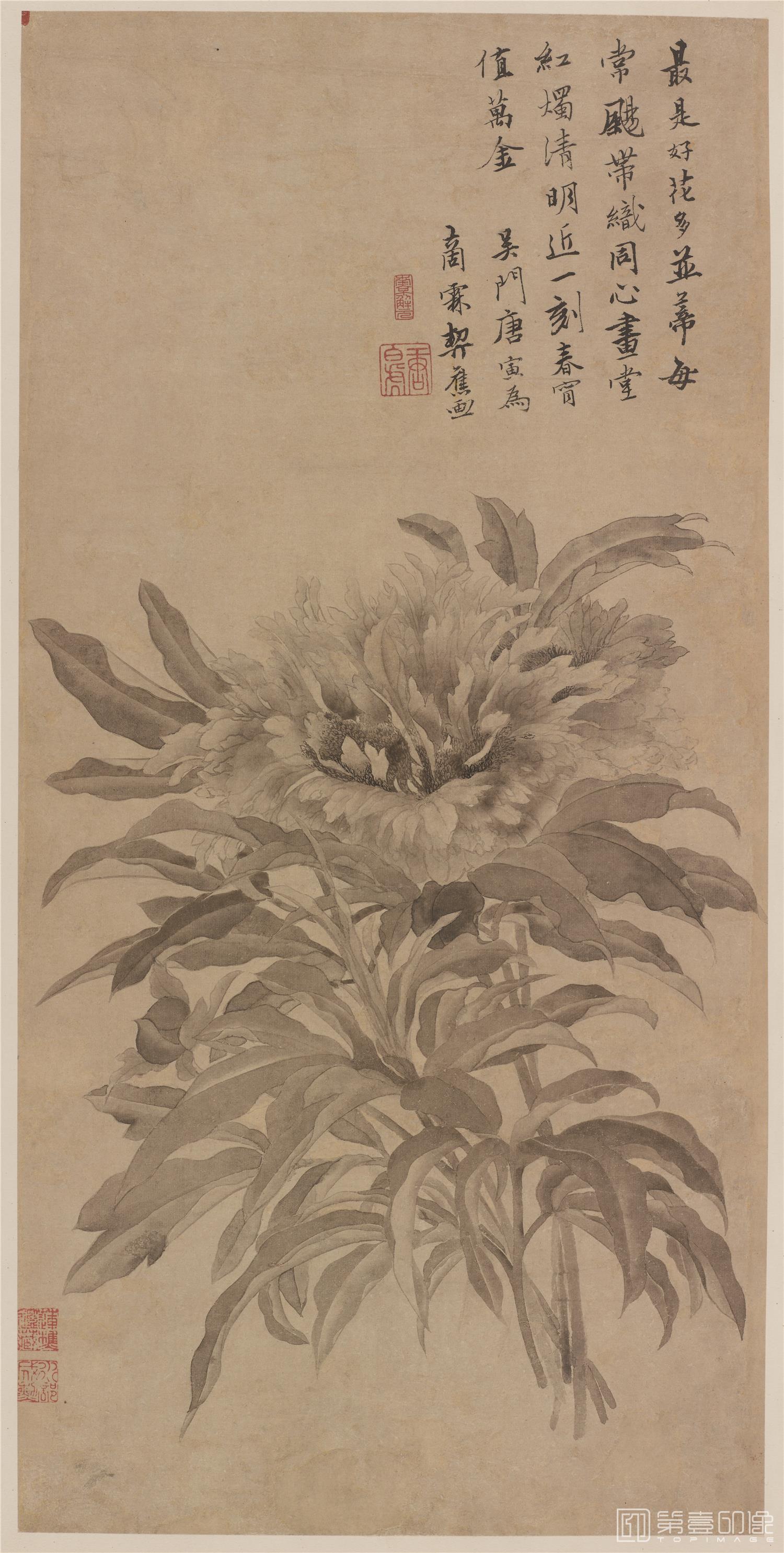 国画-牡丹图轴纸本-564×277cm