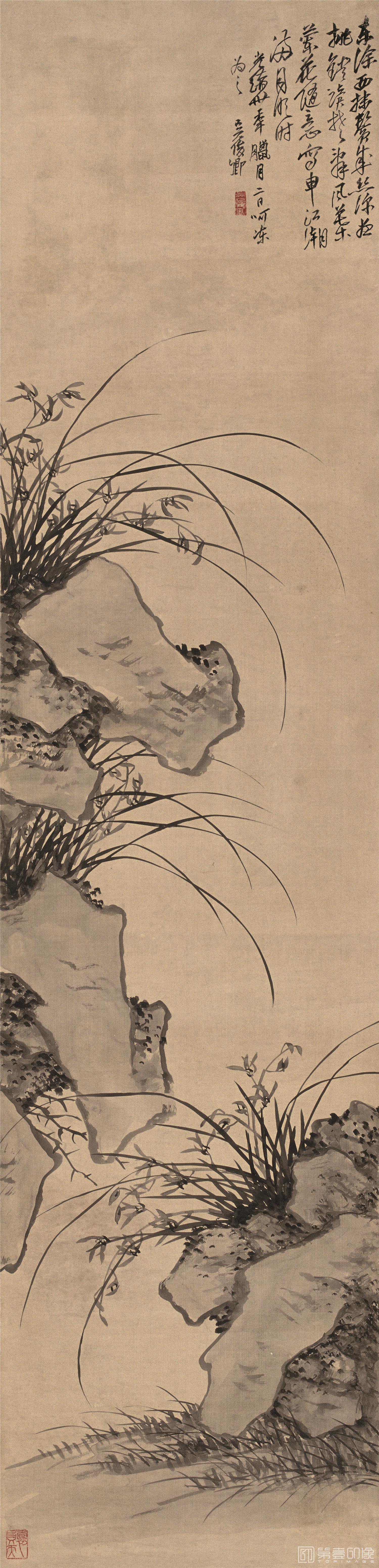 国画-兰花图轴纸本-34×142cm